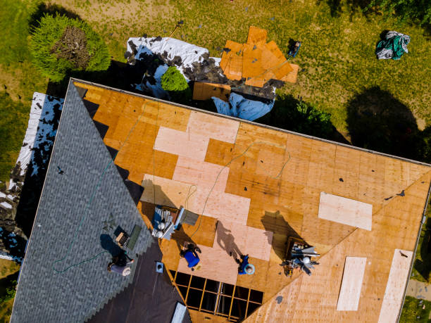 Best Slate Roofing Contractor  in Velva, ND