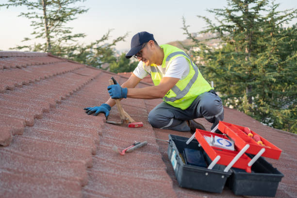 Best Residential Roofing Contractor  in Velva, ND