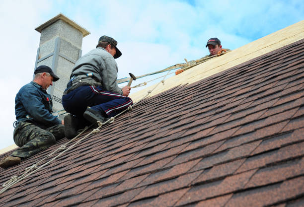 Quick and Trustworthy Emergency Roof Repair Services in Velva, ND