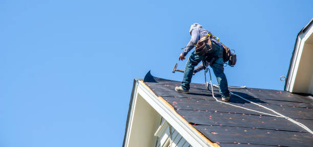 Best Commercial Roofing Services  in Velva, ND